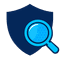 DPDP Shield Logo